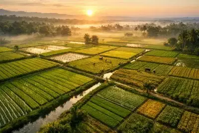 Agriculture and Environmental Monitoring